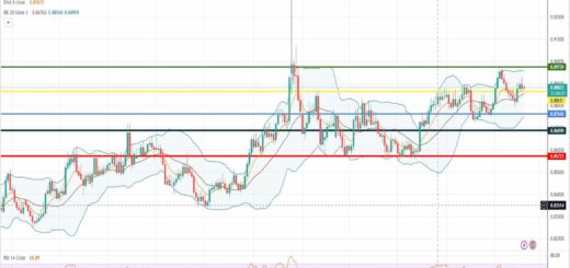 Ισοτιμία ευρώ λίρας πρόβλεψη 20/02/2023