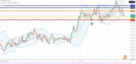 Ισοτιμία δολάριο γεν πρόβλεψη 24-01-2022