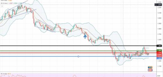 Ισοτιμία ευρώ δολάριο πρόβλεψη 24-01-2022