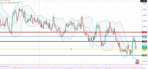 Ισοτιμία ευρώ λίρα πρόβλεψη 14-02-2022