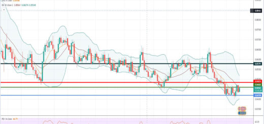 Ισοτιμία ευρώ λίρας [Πρόβλεψη 01/11/2021]