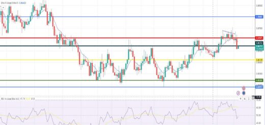 Ισοτιμία ευρώ λίρας πρόβλεψη 06/11/2023