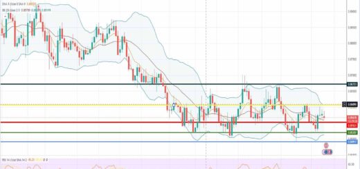 Ισοτιμία ευρώ λίρας πρόβλεψη 11/09/2023