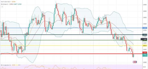 Ισοτιμία ευρώ λίρας πρόβλεψη 12/06/2023