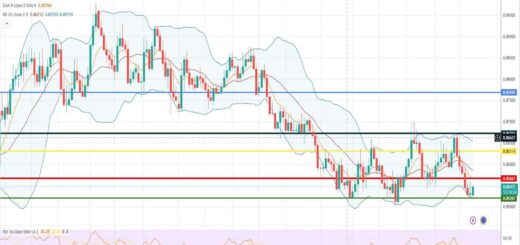 Ισοτιμία ευρώ λίρας πρόβλεψη 21/08/2023