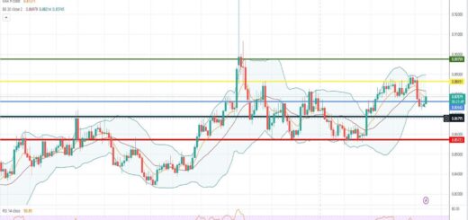 Ισοτιμία ευρώ λίρας πρόβλεψη 23/01/2023