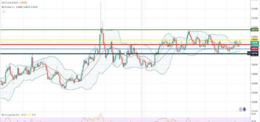 Ισοτιμία ευρώ λίρας πρόβλεψη 24/04/2023