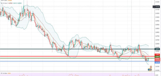 Ισοτιμία ευρώ λίρας [Πρόβλεψη 25/10/2021]
