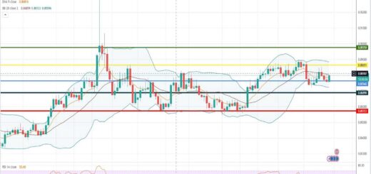 Ισοτιμία ευρώ λίρας πρόβλεψη 30/01/2023